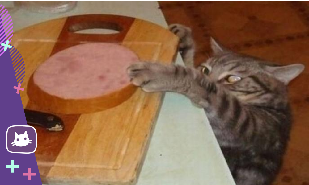 Украсть со стола. Кот ворует колбасу. Кот тырит колбасу. Кот крадет колбасу. Кот ворует колбасу со стола.