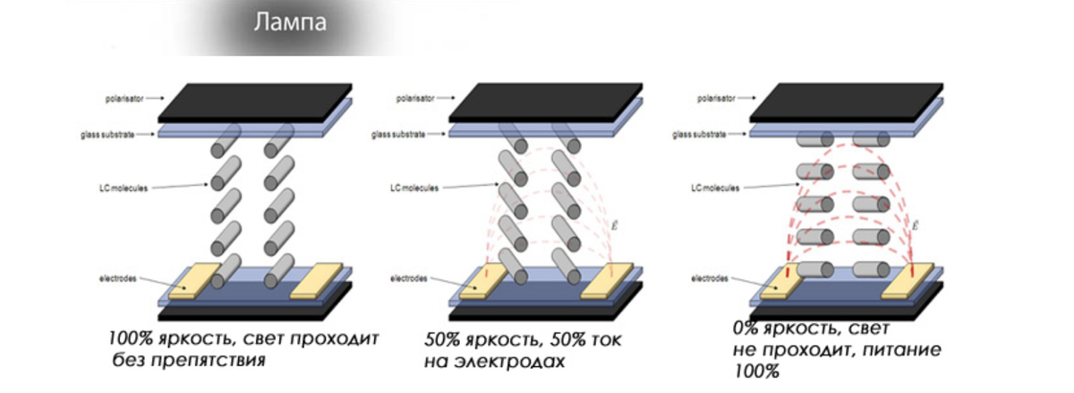 Технология экрана tft led. Строение IPS матрицы. IPS матрица схема. Мониторы TFT IPS схема. TN матрица схема.