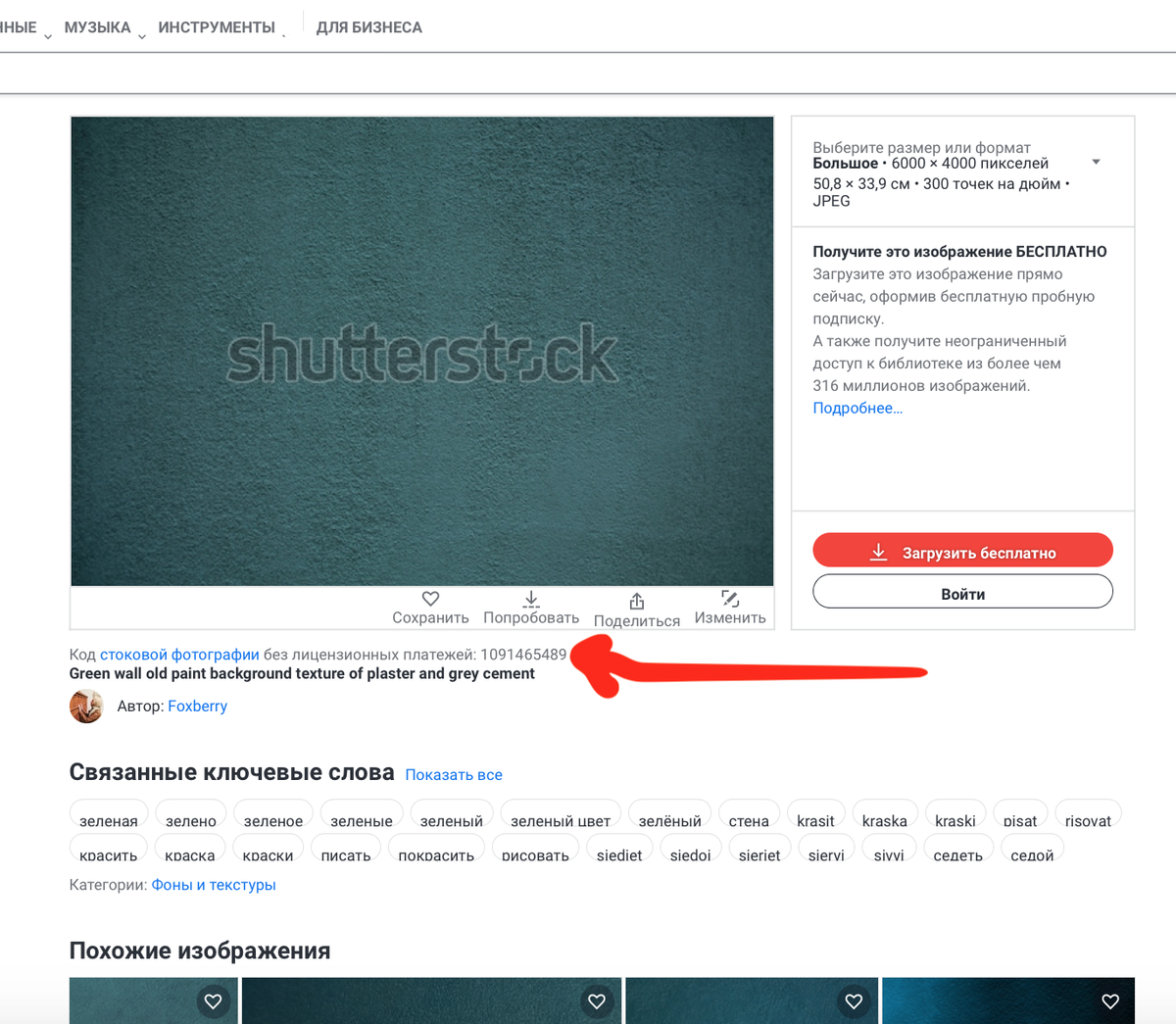 Рассказываю о двух способах, которые помогут Вам найти код фотографии или любого другого изображения на фотостоке ShutterStock. ✅ Вариант 1.