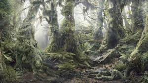 Иллюстрация взята из свободного доступа в интернете