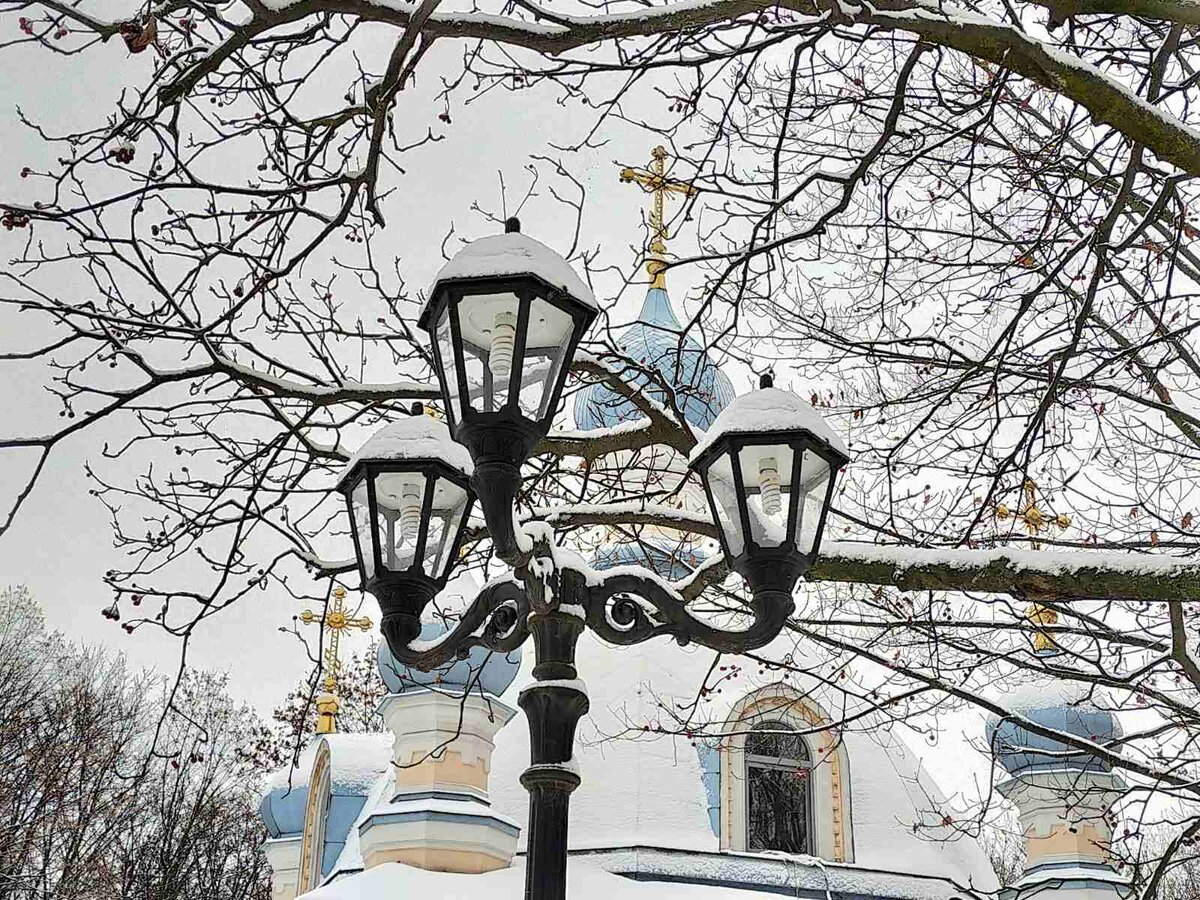 Фото автора