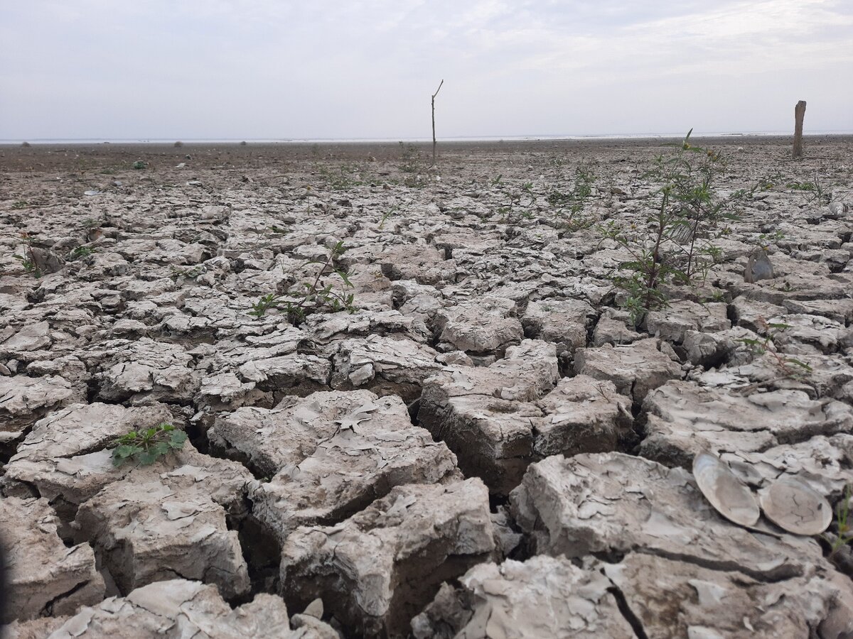 Краснодарское водохранилище