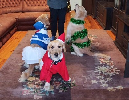 Финальная сцена Фильма