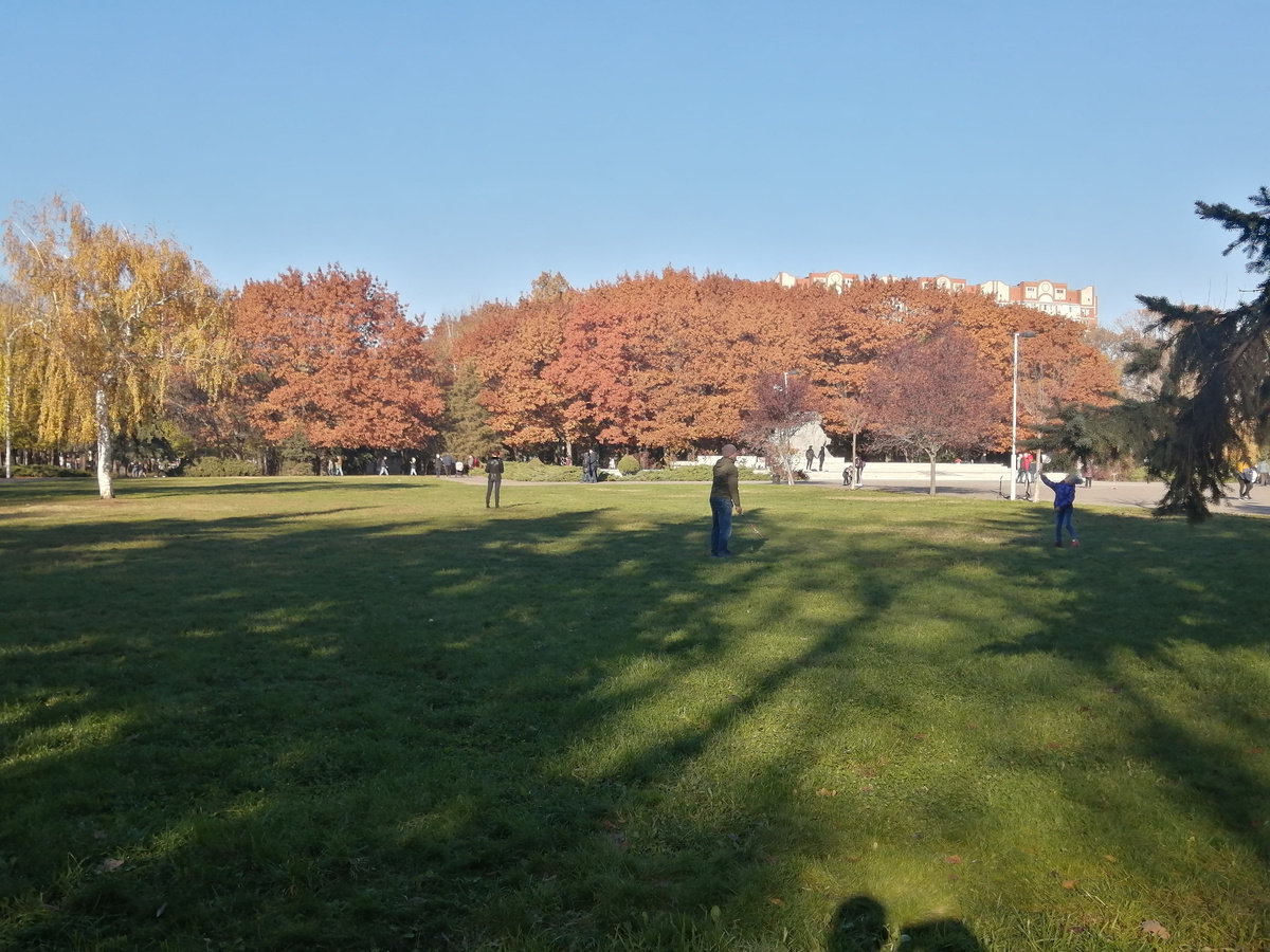 Декабрь, Чистяковская роща