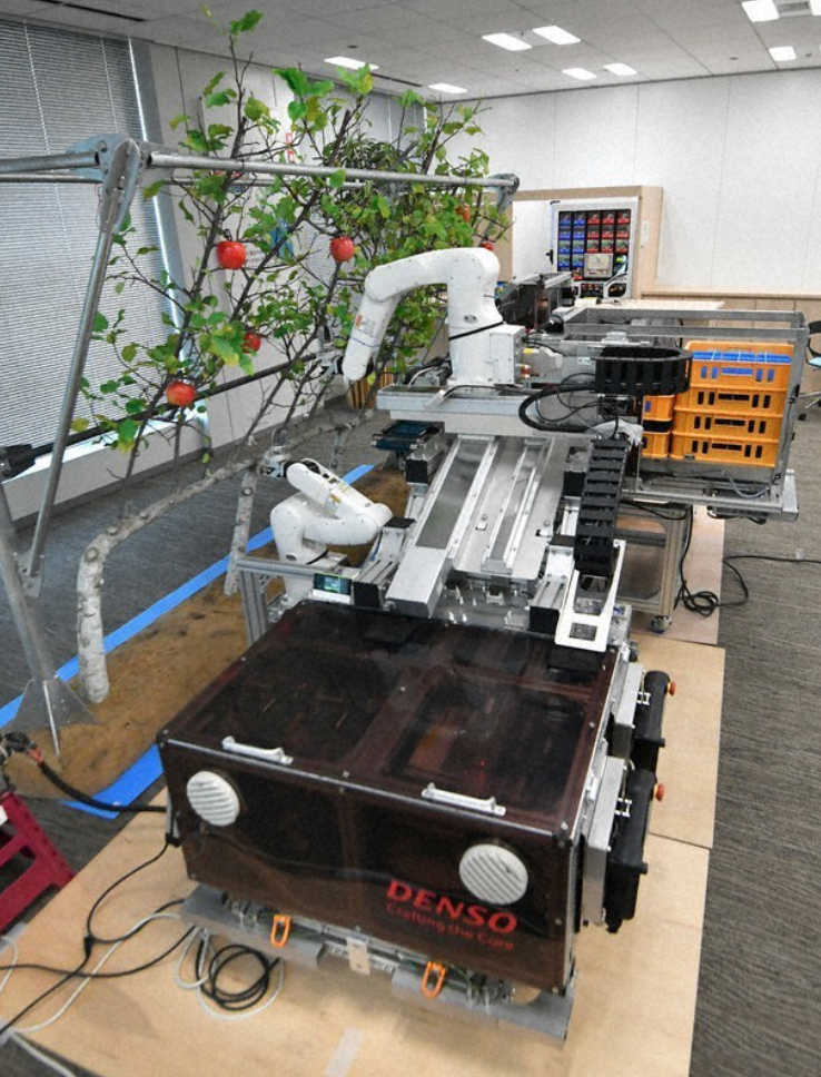 В Японии разработан робот-комбайн для сбора фруктов