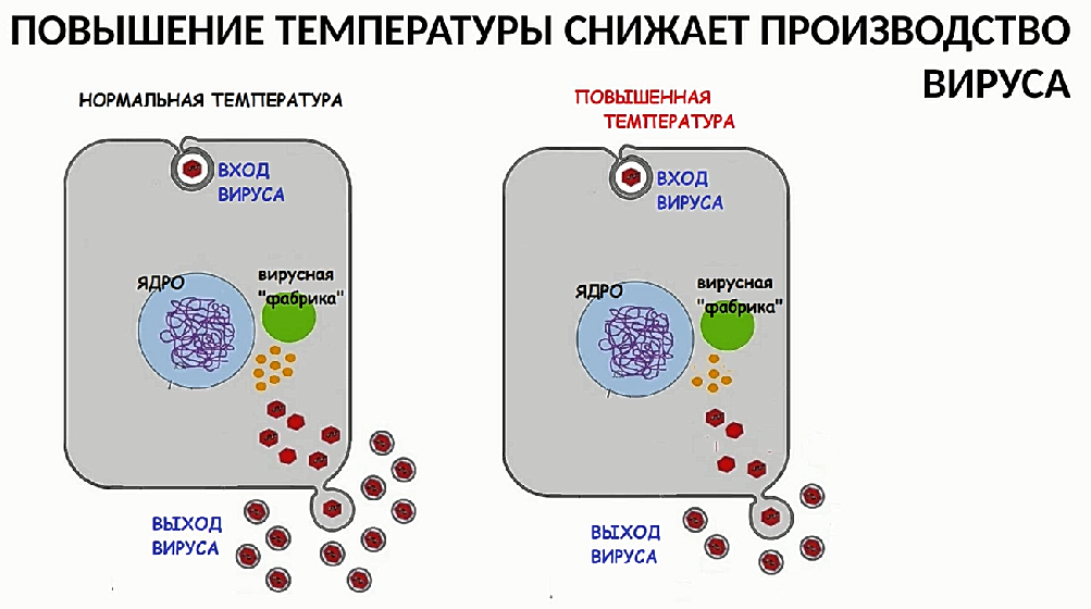 Фото из инета, из открытых источников.