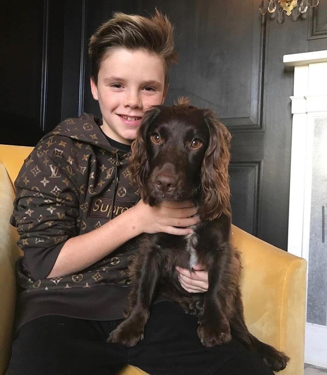 Сын Дэвида Бэкхэма Круз