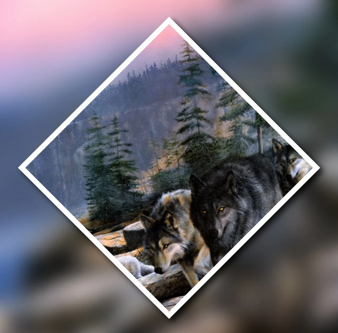 Ставьте лайк и подписывайтесь на мой канал:)