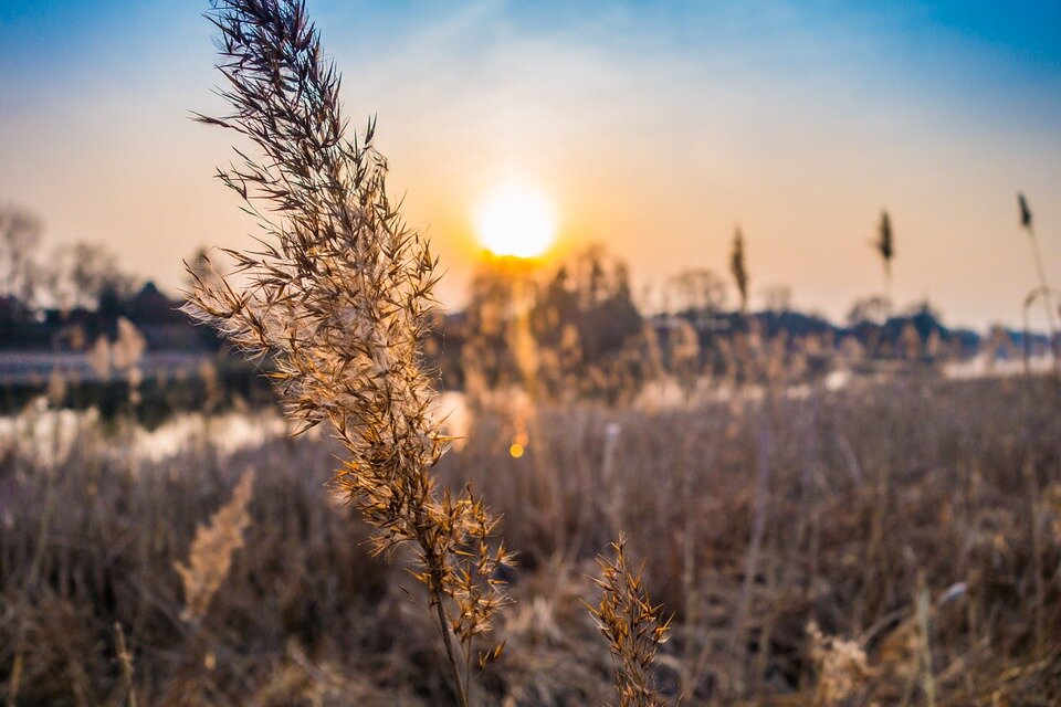 Фото: pixabay.com
