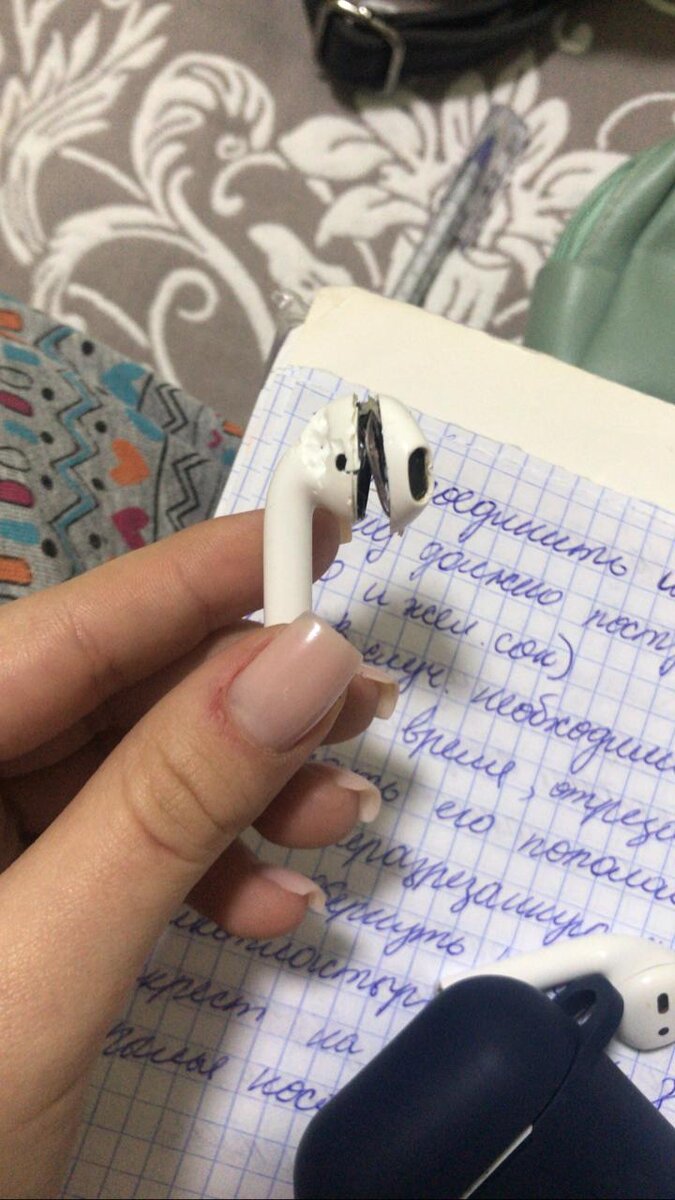 Собаки любят Apple AirPods!!!