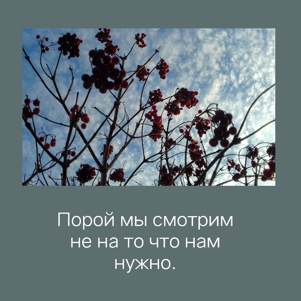 В тот момент я мало понимала, что происходит и как можно с этим взаимодействовать.
