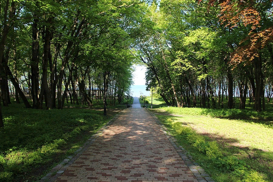 Фото взято из открытого источника 