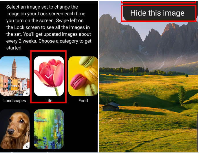 Советую Ставить животных!) 