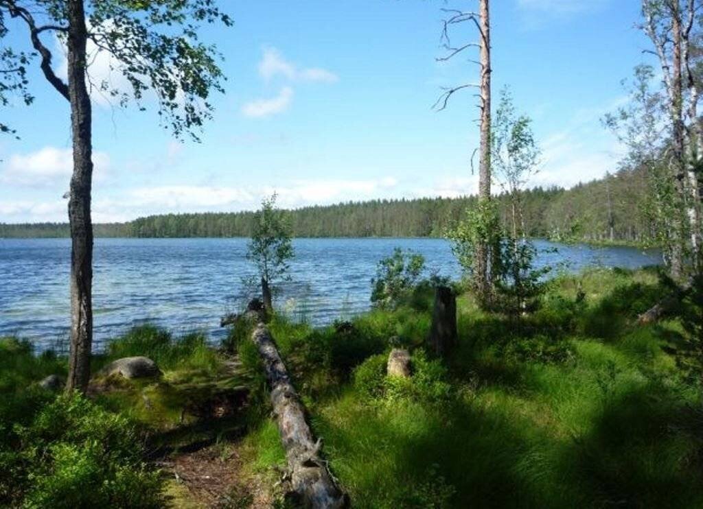 Лена водохранилище. Озеро Невское Ленинградская область Выборгский район. Озеро Невское Ленинградская область Приозерский район. Озеро глубокое Ленинградская область Выборгский район. Озеро Рыбацкое Ленинградская область