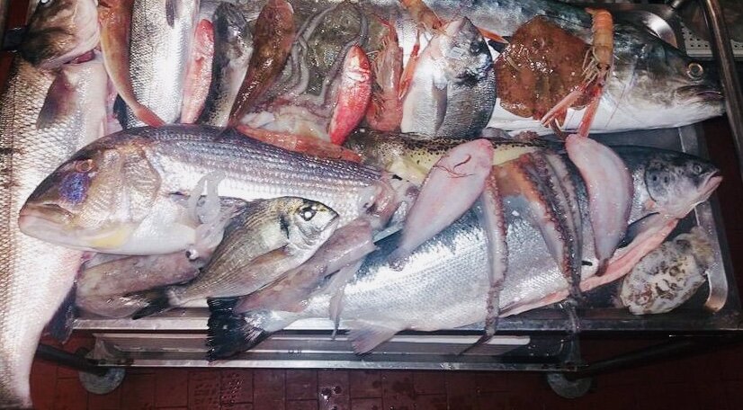 фото — Piano Piano 