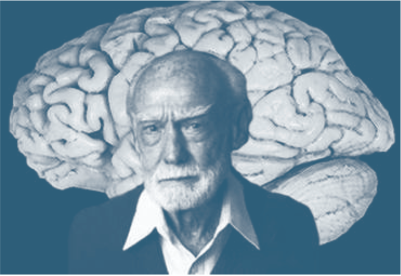 Роджер Спери. Изображение из книги Н.Непряхина «Анатомия заблуждений. Большая книга по критическому мышлению»