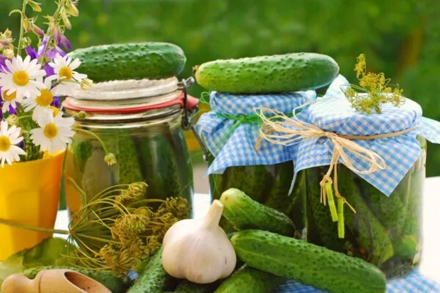 Маринованные огурцы с чесноком 