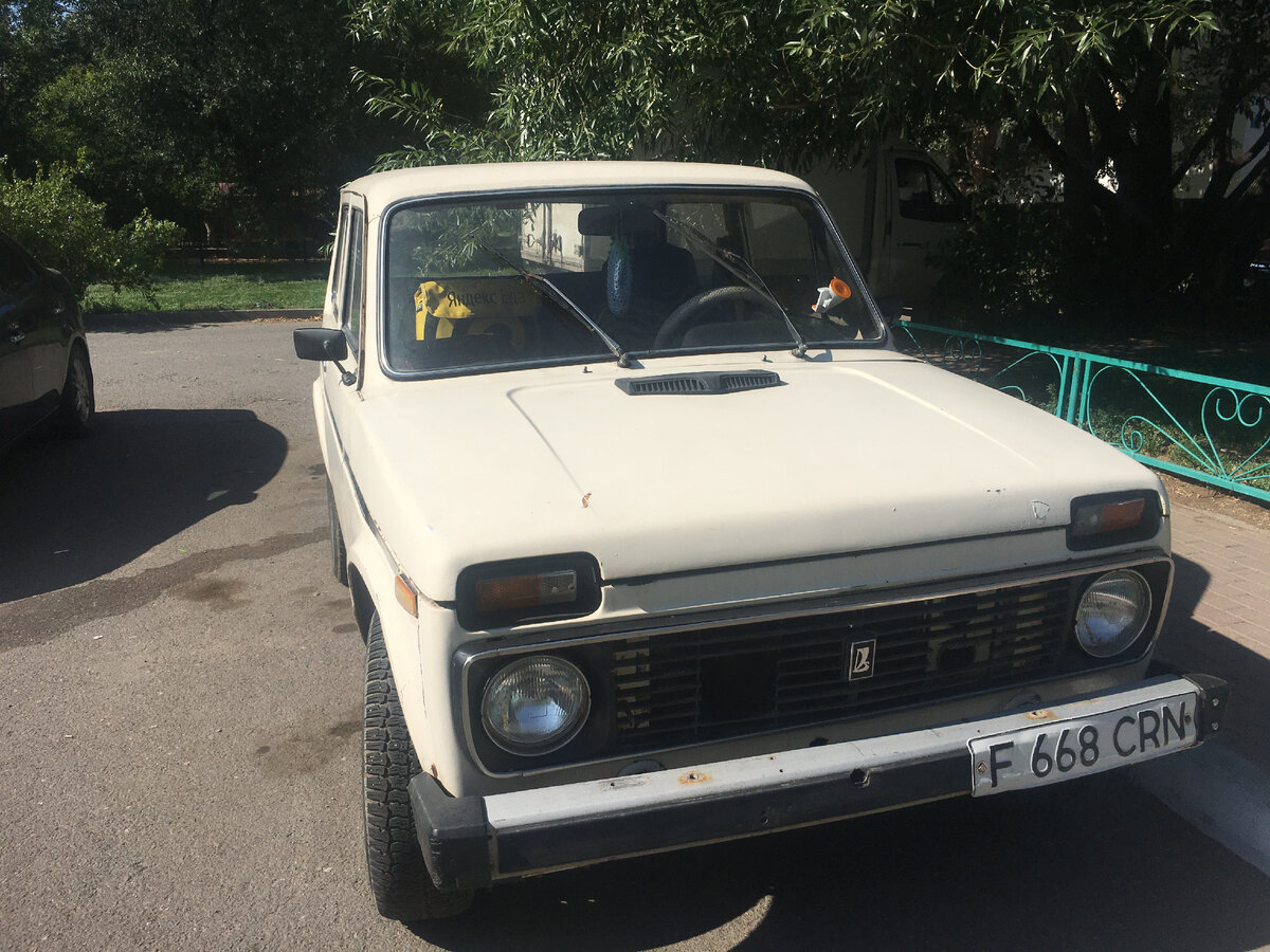 Моя кормилицы! Эх, надеюсь новый хозяин тебя не обижает...