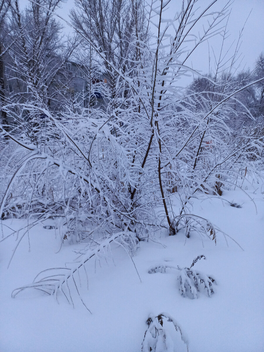 А зима-то какая снежная