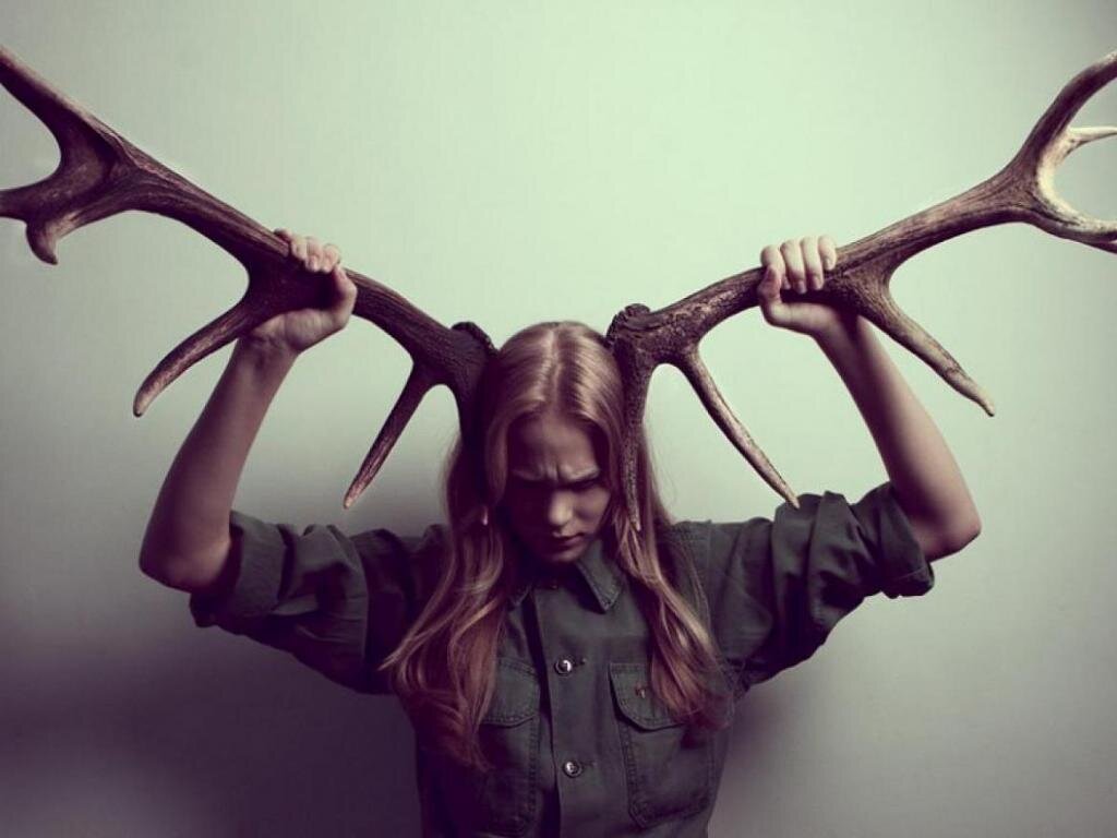 Фото взято из интернета