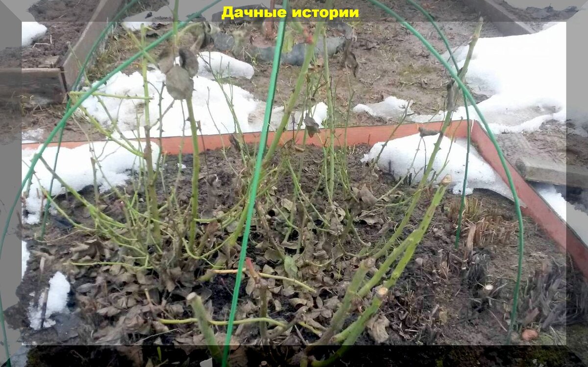 https://vk.com/photo-159774511_457251739