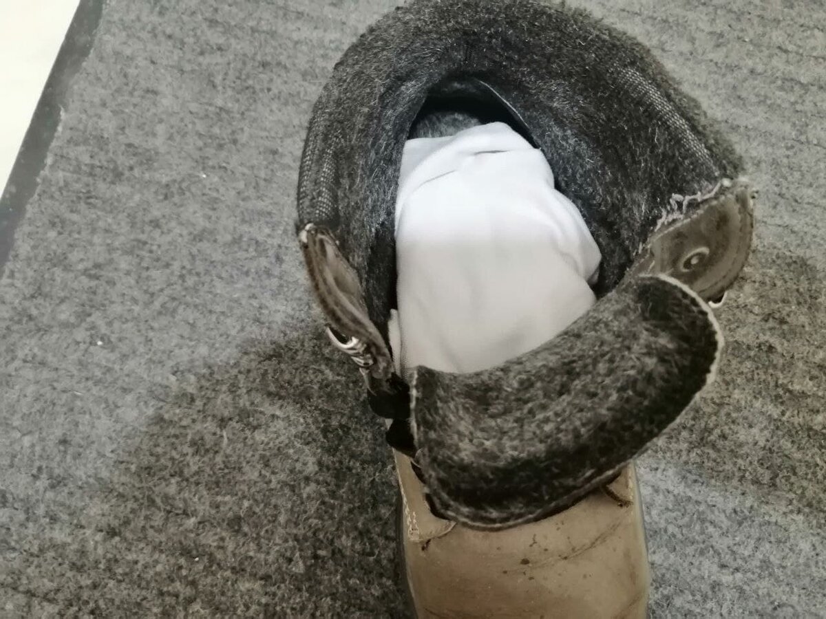 Фото автора.