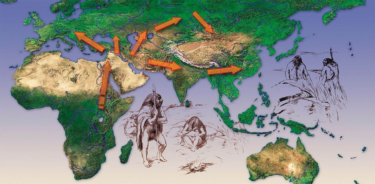 Происхождение людей в свете новых данных палеогенетики (картинка из ОИ)