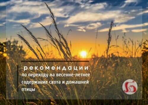 Красивая природа