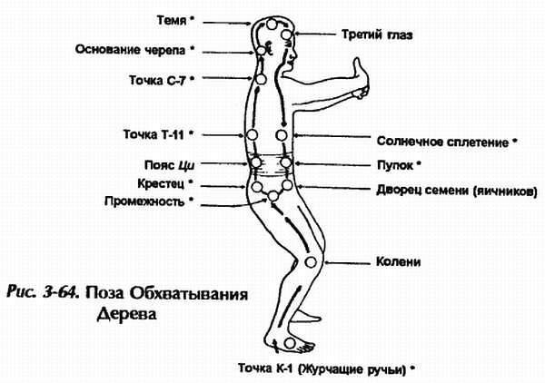 Продвинутый уровень медитации, когда энергия земли входит свободно и свободно циркулирует по раскрытым меридианам.