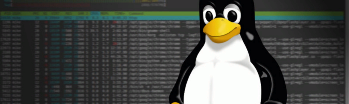 Программируем на  bash  в  Linux