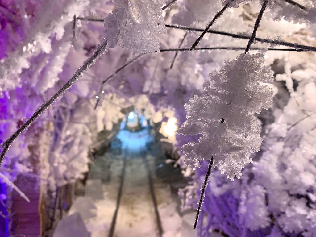 1. 