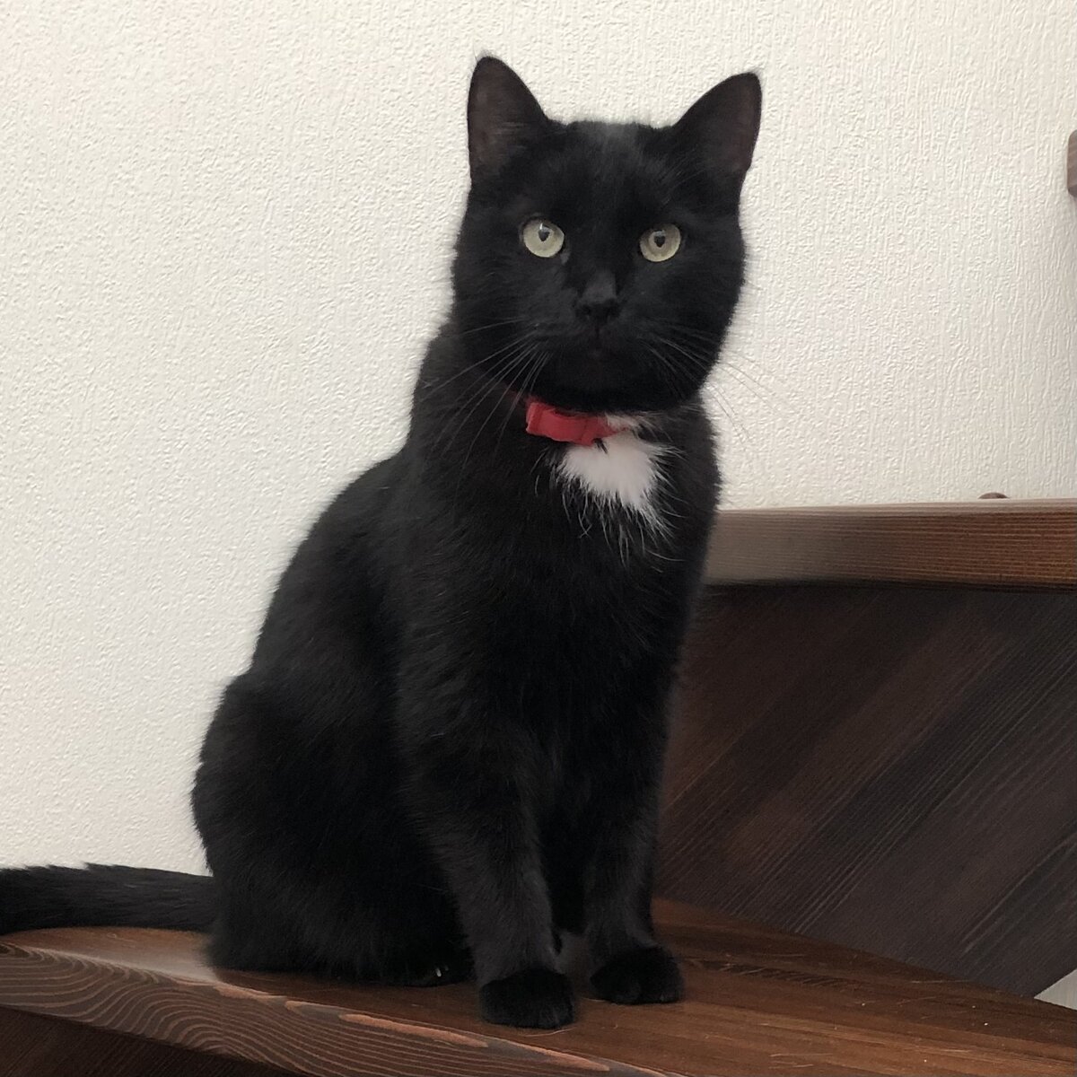 Уже в своём доме 