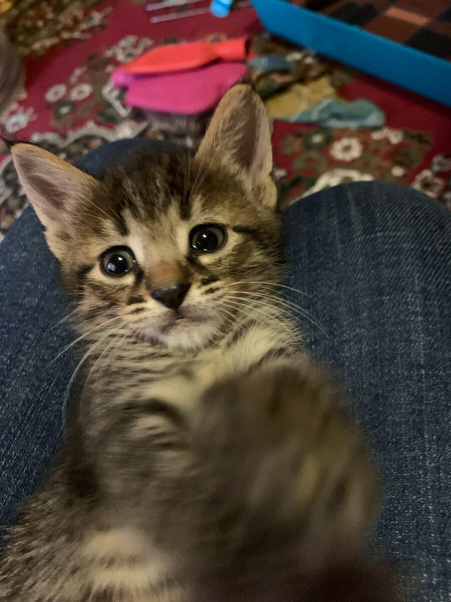 Яшеньке 1 месяц