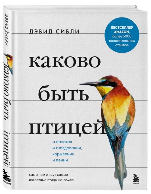    Каково быть птицей