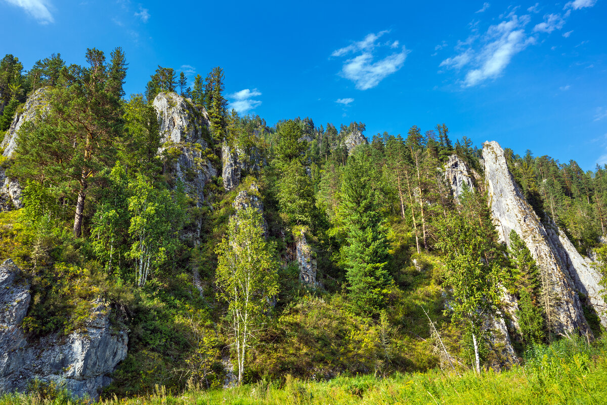 Каменная река Алтай