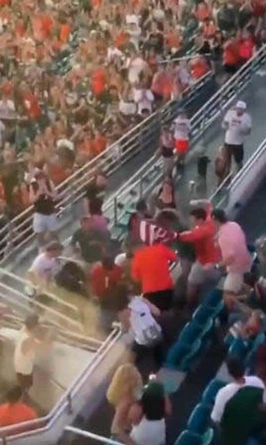 Момент приземления на флаг. Источник фото: https://koshka-pushinka.ru/animals/cats/rescue-the-cat-in-the-stadium/#more-12369