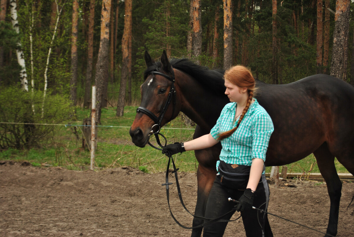 Даже просто спокойно идти рядом - это тоже навык. Если лошадь склонна торопиться, приходится сосредоточенно следить за малейшими признаками напряжения и вовремя их гасить. Фото из личного архива.