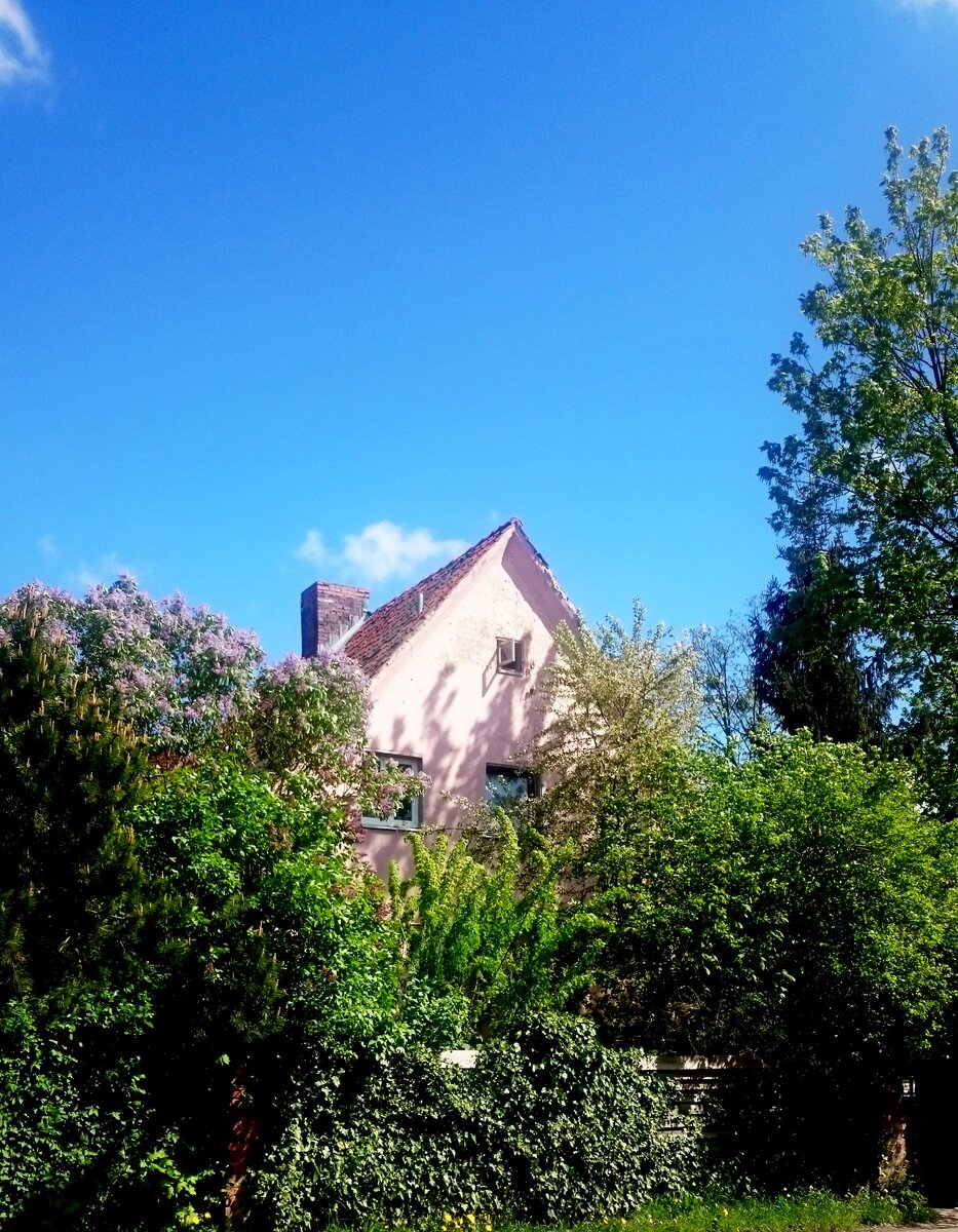 Красивая картинка? Зимой видно весь дом как на ладони, но вот летом...