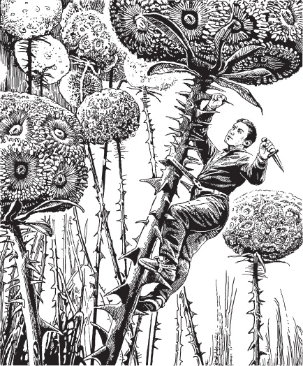 Ротанов лезет на дерево...