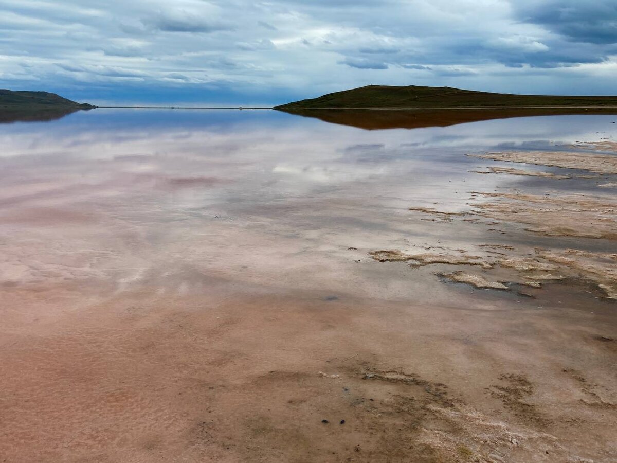 Фотография не передаёт буйство оттенков розового цвета