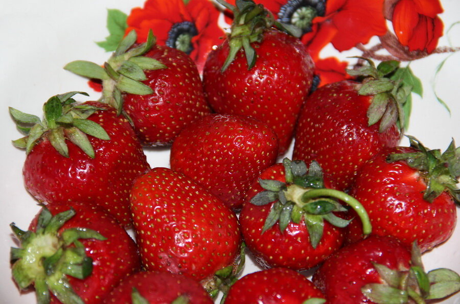 Все фотографии в публикации - авторские