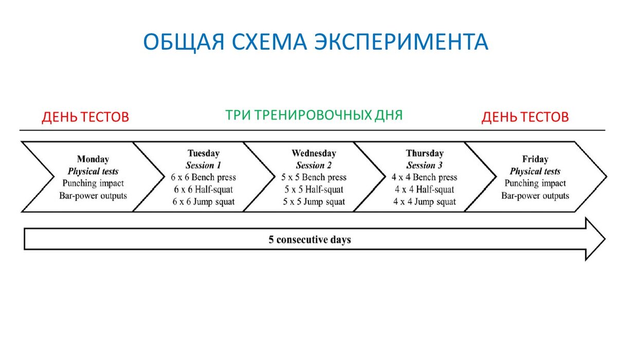 Состав участников вечера бокса «Галактическая схватка-3» в Сочи 9 февраля