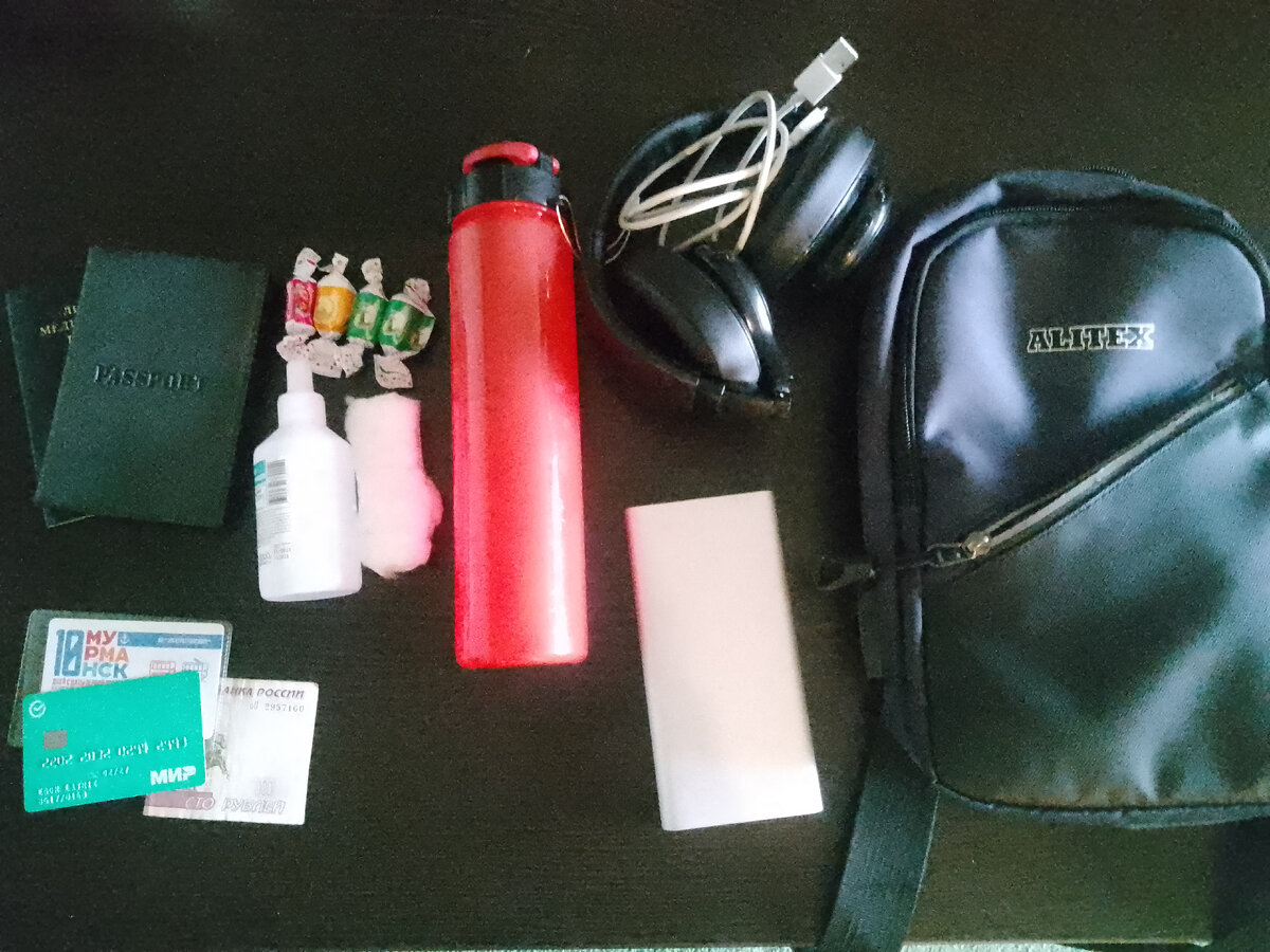 Сумка с документами, мини аптечка, деньги и проездной, блок с зарядкой и вкусняшки.