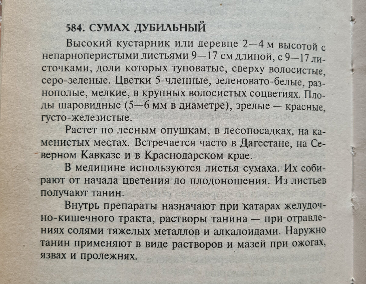 О сумахе из энциклопедии лекарственных растений