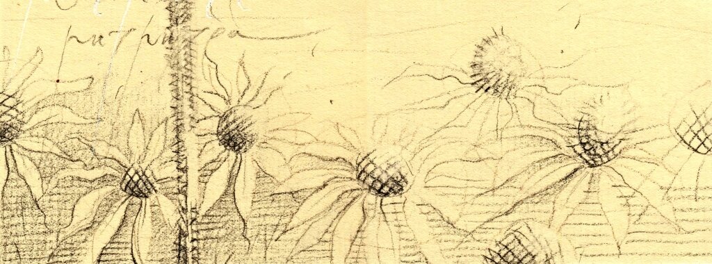 Иллюстрация Петра Перевезенцева