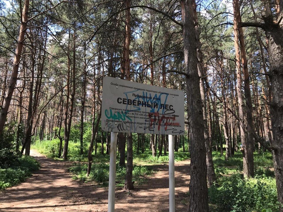     Северный лес тает на глазах Татьяна ПОДЪЯБЛОНСКАЯ