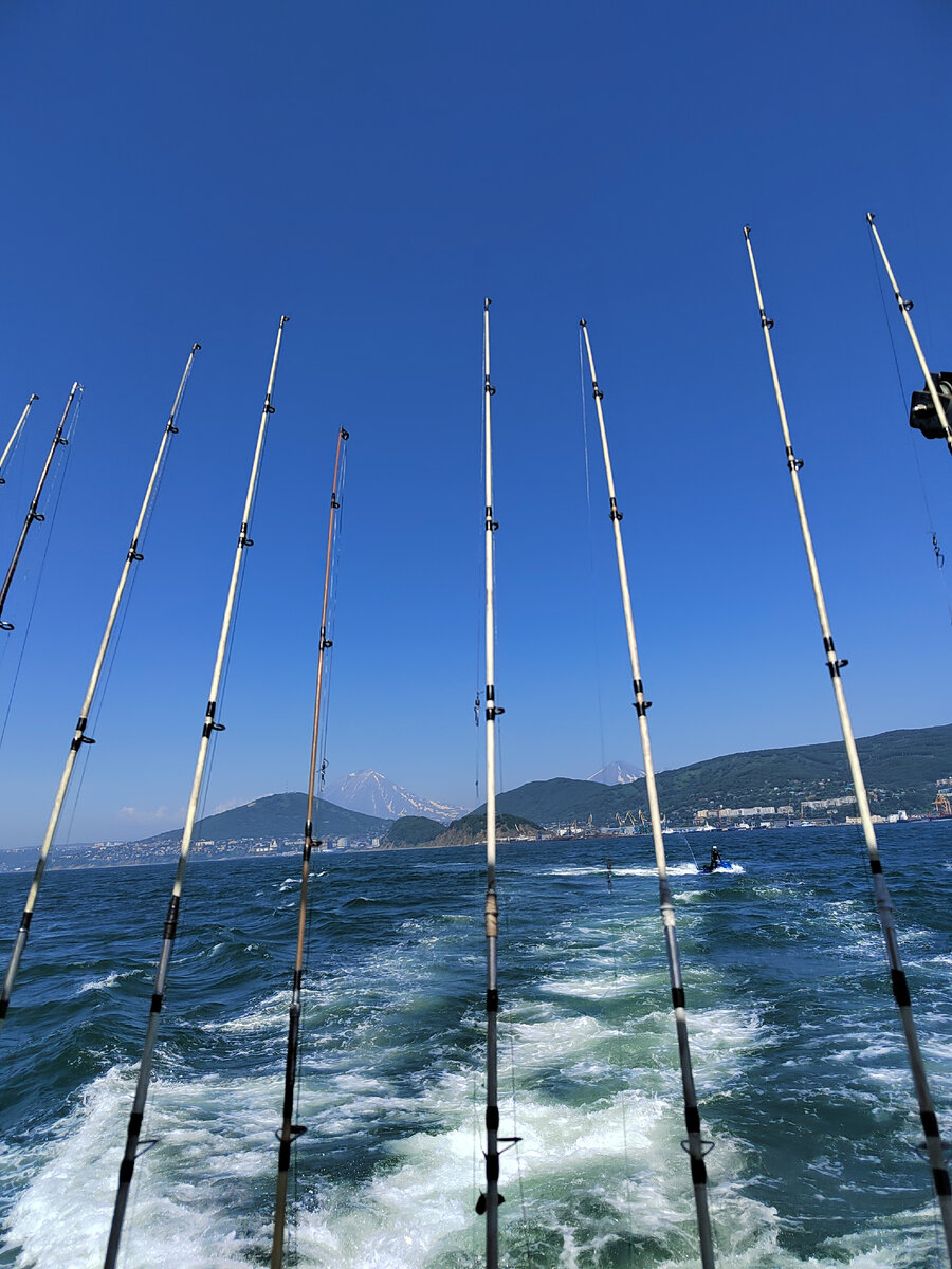 Сразу после отплытия предложили попить чай с различными бутерами и блинами. После такого перекуса можно было свободно передвигаться по всему катеру и любоваться видами, открывающимися из Авачинской бухты на Петропавловск-Камчатский и его "домашние" вулканы. Наличие удочек на палубе указывало, что в программу экскурсии входит рыбалка. 