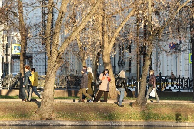    Прогулка в солнечные осенние дни Василий Иванов © ИА REGNUM