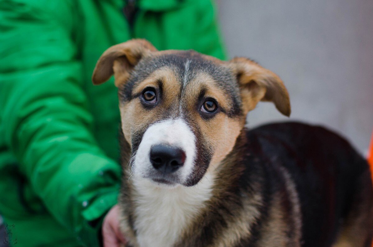 Фотография из личного архива