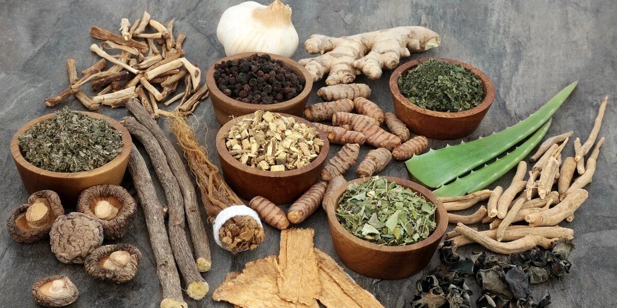 Источник: Adobe Stock/marilyn barbone